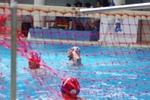 speciale_promozione_149.jpg