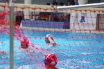 speciale_promozione_150.jpg