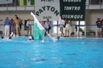 speciale_promozione_179.jpg