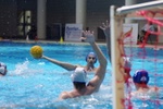 speciale_promozione_64.jpg