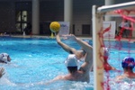speciale_promozione_66.jpg