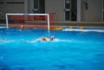 flipper_vs_rn_taranto_011.jpg