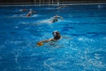 flipper_vs_rn_taranto_034.jpg
