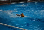 flipper_vs_rn_taranto_052.jpg