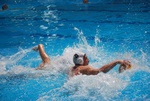 flipper_vs_rn_taranto_057.jpg