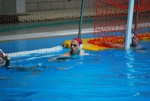 flipper_vs_rn_taranto_070.jpg
