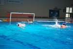 flipper_vs_rn_taranto_081.jpg