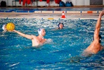 dsc_0110.jpg