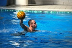 flipper_vs_modugno_03.jpg