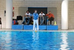 flipper_vs_modugno_07.jpg
