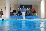 flipper_vs_modugno_08.jpg