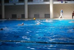 flipper_vs_modugno_09.jpg