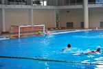 flipper_vs_modugno_13.jpg
