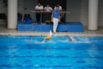 flipper_vs_valenzano_07.jpg