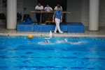 flipper_vs_valenzano_08.jpg