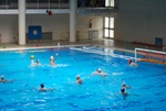 flipper_vs_valenzano_12.jpg