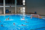 flipper_vs_valenzano_15.jpg
