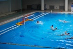 flipper_vs_valenzano_19.jpg