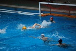 flipper_vs_valenzano_27.jpg