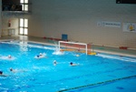 flipper_vs_valenzano_34.jpg
