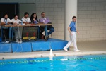 flipper_vs_valenzano_52.jpg