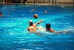 valenzano_vs_flipper_02.jpg