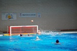 valenzano_vs_flipper_06.jpg