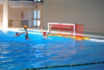 valenzano_vs_flipper_12.jpg