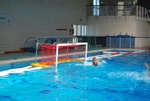 valenzano_vs_flipper_28.jpg