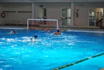 valenzano_vs_flipper_30.jpg
