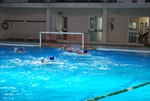 valenzano_vs_flipper_31.jpg