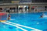 valenzano_vs_flipper_41.jpg