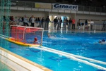 valenzano_vs_flipper_49.jpg