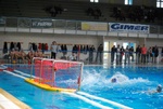 valenzano_vs_flipper_50.jpg