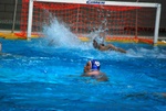 valenzano_vs_flipper_60.jpg
