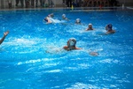 valenzano_vs_flipper_61.jpg