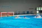 valenzano_vs_flipper_62.jpg