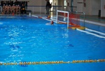 valenzano_vs_flipper_64.jpg