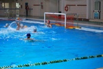 valenzano_vs_flipper_65.jpg