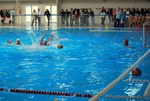 valenzano_vs_flipper_74.jpg