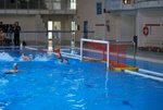 valenzano_vs_flipper_80.jpg