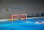 valenzano_vs_flipper_87.jpg