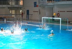 flipper_vs_pz_nuoto_04.jpg