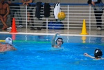 flipper_vs_pz_nuoto_05.jpg