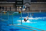 flipper_vs_pz_nuoto_11.jpg