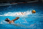 flipper_vs_pz_nuoto_14.jpg