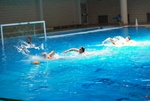 flipper_vs_pz_nuoto_19.jpg