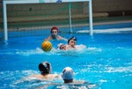 flipper_vs_pz_nuoto_21.jpg