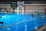flipper_vs_pz_nuoto_24.jpg