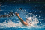 flipper_vs_pz_nuoto_25.jpg